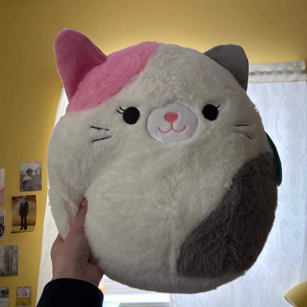 Squishmallow Karina cat 12”